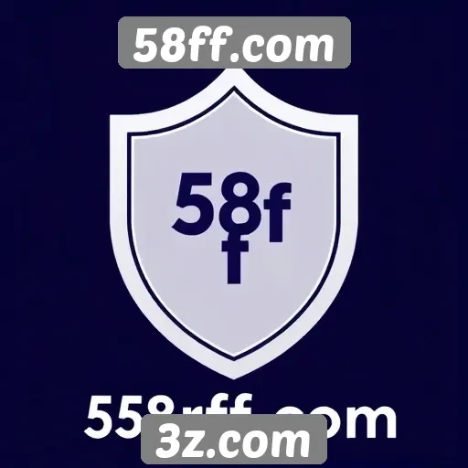 Avaliação da segurança do site 58ff.com